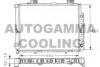 AUTOGAMMA 100555 Radiator, engine cooling